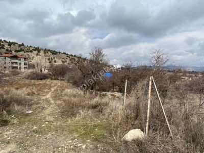 Arsa-Arazi