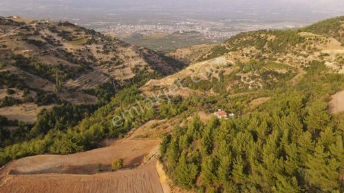 Arsa-Bağ & Bahçe