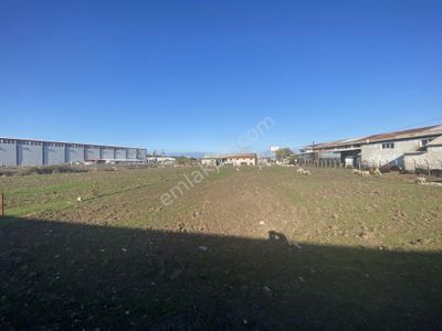 Arsa-Sanayi İmarlı