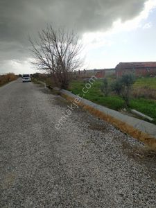 Arsa-Tarla