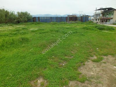Arsa-Konut+Ticaret Alanı