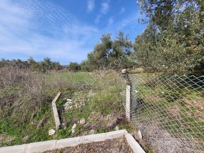 Arsa-Villa İmarlı