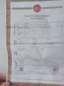 Konut-Daire