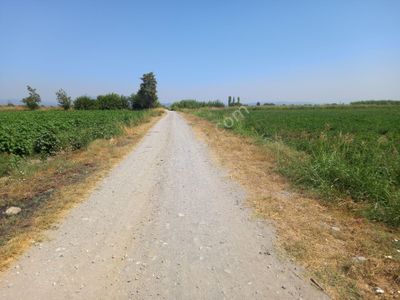 Arsa-Tarla