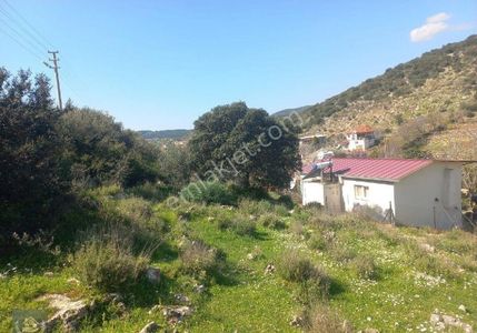 Arsa-Konut İmarlı