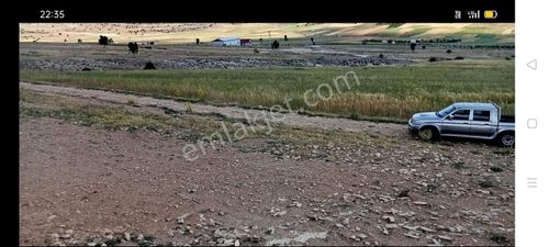 Arsa-Tarla