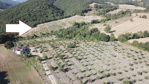 Arsa-Tarla