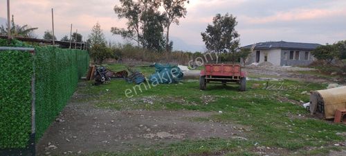 Arsa-Bağ & Bahçe