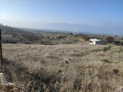 Arsa-Tarla