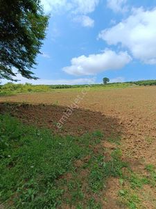 Arsa-Tarla