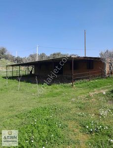 Arsa-Bağ & Bahçe