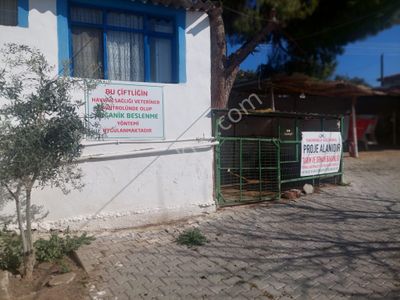 Arsa-Çiftlik