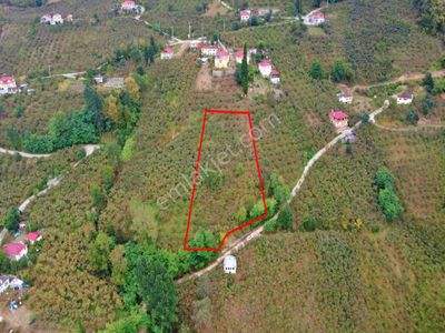 Arsa-Villa İmarlı