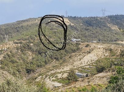 Arsa-Muhtelif Arsa