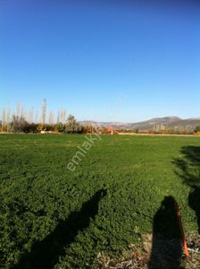 Arsa-Tarla
