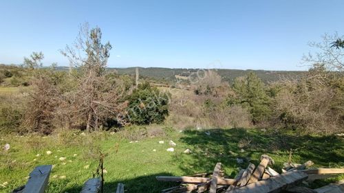 Arsa-Konut İmarlı