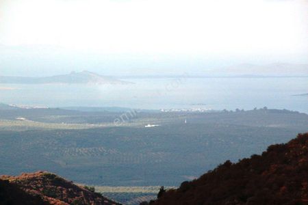 Arsa-Arazi