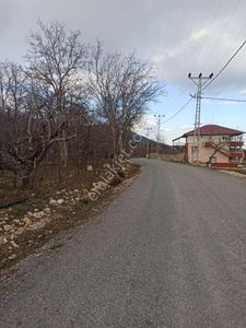 Arsa-Bağ & Bahçe