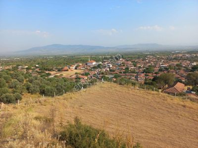 Arsa-Konut İmarlı
