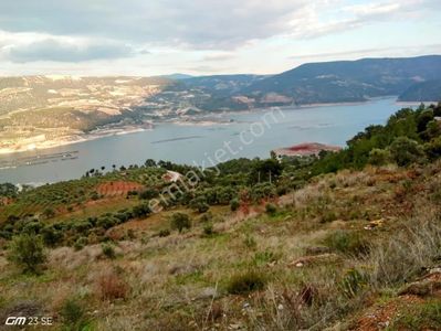 Arsa-Tarla