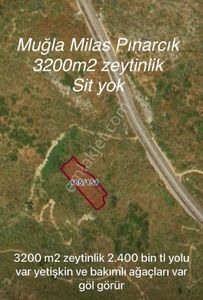 Arsa-Özel Kullanım