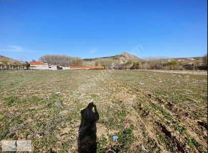 Arsa-Tarla