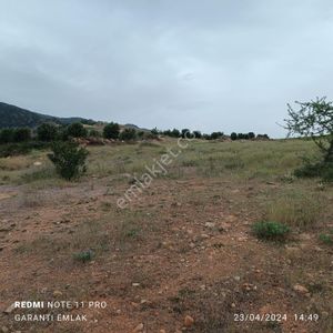 Arsa-Tarla