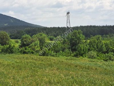 Arsa-Tarla