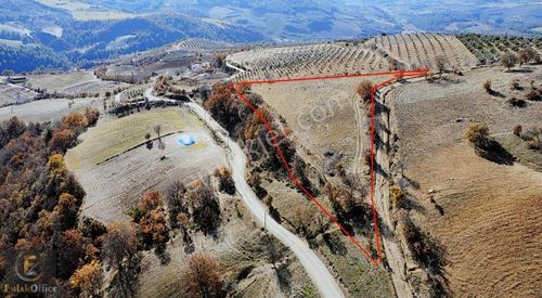 Arsa-Ticari İmarlı