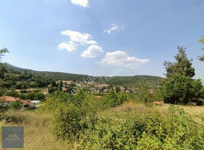 Arsa-Konut İmarlı