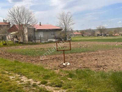 Arsa-Konut İmarlı