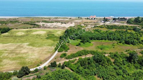 Arsa-Tarla
