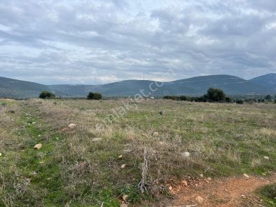 Arsa-Konut İmarlı