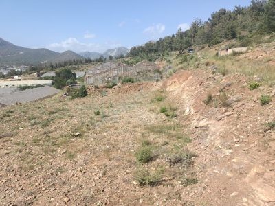Arsa-Tarla