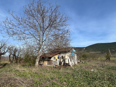 Arsa-Bağ & Bahçe