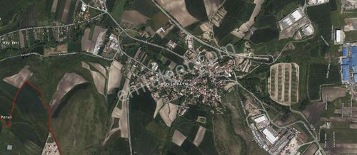 Arsa-Depo, Antrepo İzinli