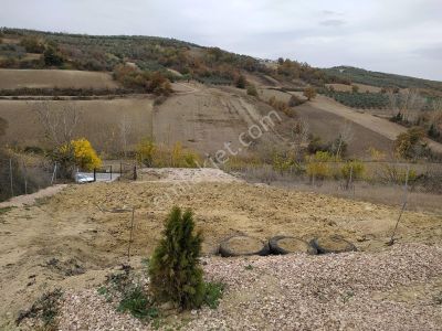 Arsa-Tarla
