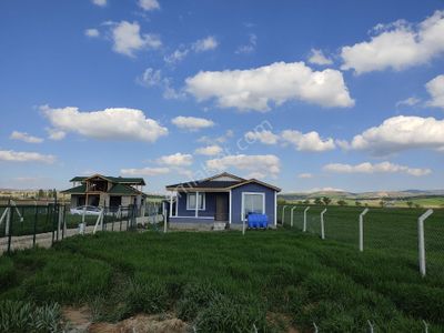 Arsa-Bağ & Bahçe
