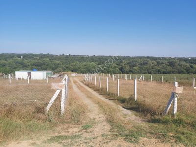 Arsa-Tarla
