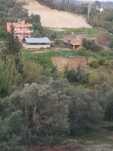 Arsa-Konut İmarlı