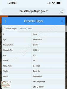 Arsa-Zeytinlik