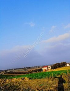 Arsa-Tarla