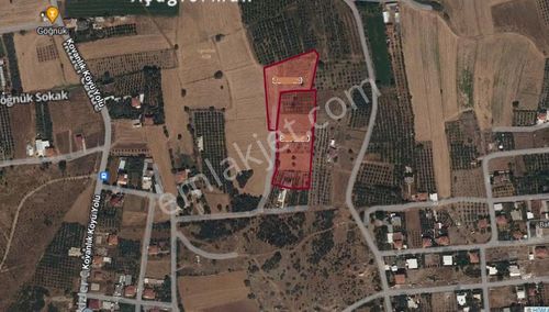 Arsa-Tarla