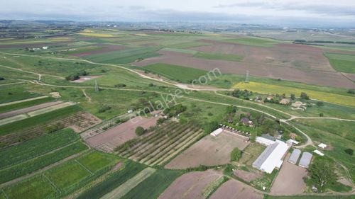 Arsa-Tarla