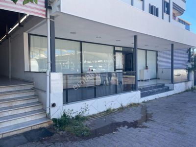 İşyeri-Dükkan & Mağaza