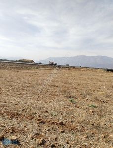 Arsa-Ticari İmarlı