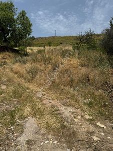 Konut-Köy Evi