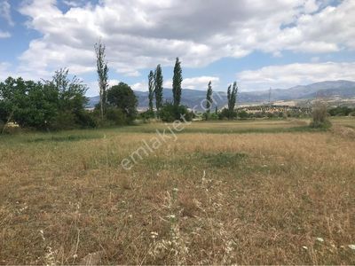 Arsa-Arazi