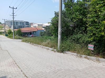 Arsa-Konut İmarlı