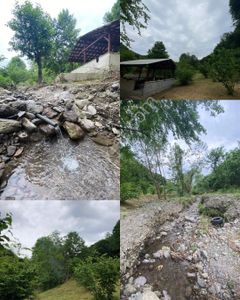 Arsa-Arazi